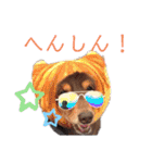 ワンだらけ パラダイス（個別スタンプ：5）