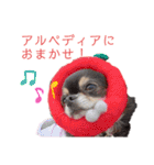 ワンだらけ パラダイス（個別スタンプ：10）