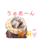 ワンだらけ パラダイス（個別スタンプ：11）