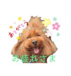 ワンだらけ パラダイス（個別スタンプ：16）
