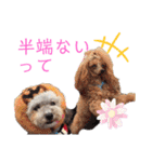 ワンだらけ パラダイス（個別スタンプ：18）
