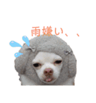 ワンだらけ パラダイス（個別スタンプ：19）