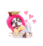 ワンだらけ パラダイス（個別スタンプ：21）