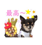 ワンだらけ パラダイス（個別スタンプ：22）