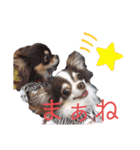ワンだらけ パラダイス（個別スタンプ：23）