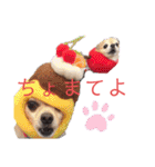 ワンだらけ パラダイス（個別スタンプ：26）