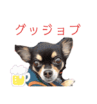 ワンだらけ パラダイス（個別スタンプ：30）