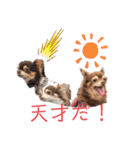 ワンだらけ パラダイス（個別スタンプ：34）
