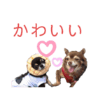 ワンだらけ パラダイス（個別スタンプ：38）