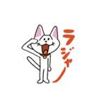 お茶目な白ニャンコ（個別スタンプ：1）
