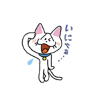 お茶目な白ニャンコ（個別スタンプ：22）