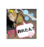 さかな・イカ釣りスタンプ2（個別スタンプ：7）