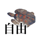 きぼうがみえる（個別スタンプ：4）