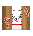 白ねこ姉妹の日常（個別スタンプ：31）