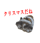くろちゃんシリーズ2のスタンプです（個別スタンプ：3）