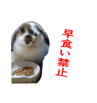 くろちゃんシリーズ2のスタンプです（個別スタンプ：5）