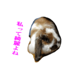 くろちゃんシリーズ2のスタンプです（個別スタンプ：6）