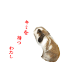 くろちゃんシリーズ2のスタンプです（個別スタンプ：8）