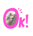 もなきんぐとばにくいーん（個別スタンプ：8）