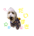 のえるとのあスタンプ❤（個別スタンプ：3）