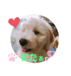 のえるとのあスタンプ❤（個別スタンプ：4）