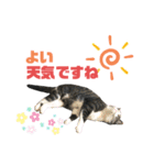 猫の気持ち 猫の奈留さん 第3弾（個別スタンプ：2）