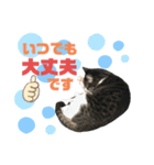 猫の気持ち 猫の奈留さん 第3弾（個別スタンプ：7）