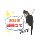 猫の気持ち 猫の奈留さん 第3弾（個別スタンプ：14）