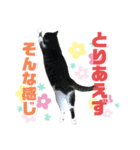 猫の気持ち 猫の奈留さん 第3弾（個別スタンプ：22）
