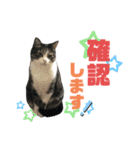 猫の気持ち 猫の奈留さん 第3弾（個別スタンプ：32）