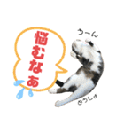 猫の気持ち 猫の奈留さん 第3弾（個別スタンプ：33）