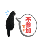 猫の気持ち 猫の奈留さん 第3弾（個別スタンプ：35）