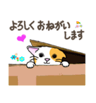 ねこのタマちゃんスタンプ(2)（個別スタンプ：10）