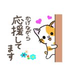 ねこのタマちゃんスタンプ(2)（個別スタンプ：13）