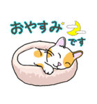 ねこのタマちゃんスタンプ(2)（個別スタンプ：17）