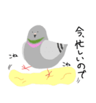 鳩とパン（個別スタンプ：1）