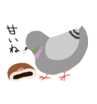 鳩とパン（個別スタンプ：4）