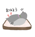 鳩とパン（個別スタンプ：13）