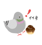 鳩とパン（個別スタンプ：16）