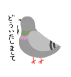 鳩とパン（個別スタンプ：20）