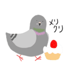 鳩とパン（個別スタンプ：21）