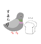 鳩とパン（個別スタンプ：23）