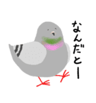 鳩とパン（個別スタンプ：28）