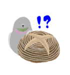 鳩とパン（個別スタンプ：31）