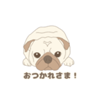 うちのパグ 1（個別スタンプ：5）