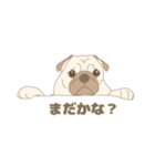 うちのパグ 1（個別スタンプ：11）