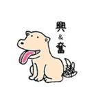 きままにあにまるず（個別スタンプ：5）