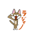 お茶目な茶虎ニャンコ（個別スタンプ：1）