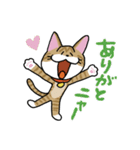 お茶目な茶虎ニャンコ（個別スタンプ：3）