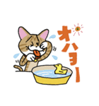 お茶目な茶虎ニャンコ（個別スタンプ：7）